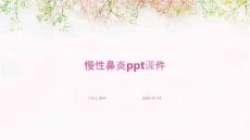 慢性鼻炎ppt课件