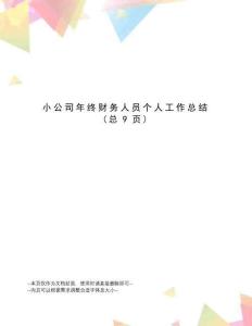小公司年终财务人员个人工作总结