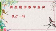 阴茎癌的教学查房