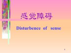 感觉障碍课件