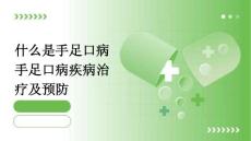 什么是手足口病手足口病疾病治疗及预防PPT