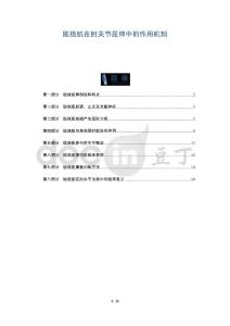 肱桡肌在肘关节屈伸中的作用机制