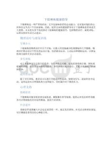 下肢瘫痪健康指导