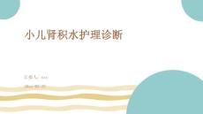 小儿肾积水护理诊断ppt