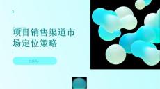 項目銷售渠道市場定位策略