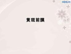 黄斑前膜