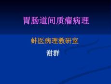 胃肠道间质瘤解读课件