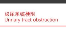 外科学PPT课件 泌尿系统梗阻 尿路梗阻