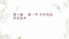 手外伤评定技术