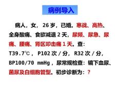 肾盂肾炎课件