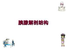 胰腺损伤究极课件.ppt