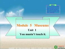 九年级英语You mustn’t touch it课件