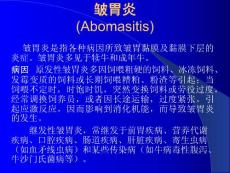 皱胃炎