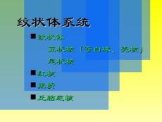 锥体外系疾病PPT课件.ppt