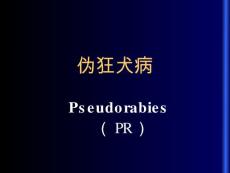 伪狂犬病