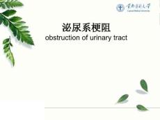 外科医学课件尿路梗阻
