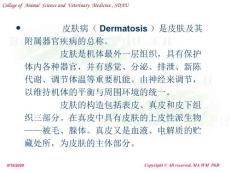 动物普通病学犬猫皮肤病PPT课件.ppt