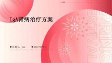 IgA肾病治疗方案