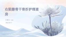 右胫腓骨干骨折护理查房