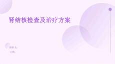 肾结核检查及治疗方案