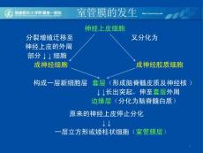 室管膜和脉络膜肿瘤鉴别诊断