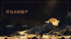 肝包虫病超声