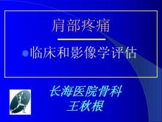 肩部疼痛_