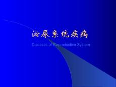 泌尿-1肾炎