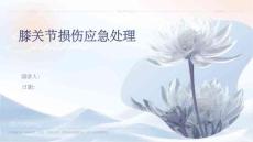 膝关节损伤应急处理