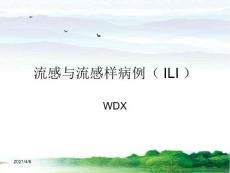 流感与流感样病例