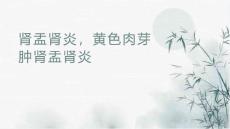 肾盂肾炎与黄色肉芽肿肾盂肾炎影像诊断