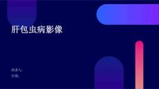 肝包虫病影像