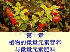 【农学课件】植物的微量元素营养 与微量元素肥料