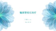 输尿管结石治疗