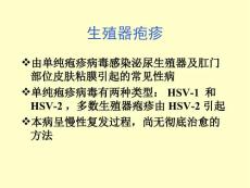 生殖器疱疹PPT课件.ppt