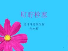 耵聍栓塞