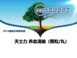 养血慢性缺血性脑血管疾病