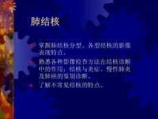 04肺结核
