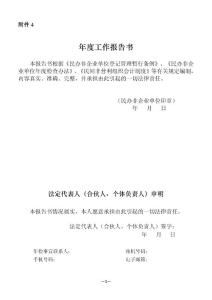 民非年度工作報(bào)告