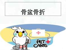 骨盆骨折参考