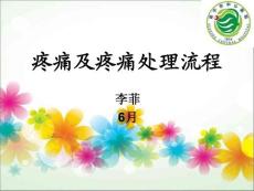 疼痛与疼痛处理流程