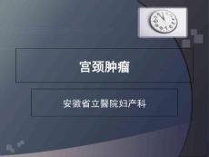 宫颈癌课件