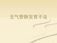 支气管肺发育不良