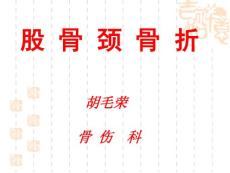 股骨颈骨折