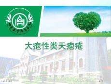 大疱性类天疱疮
