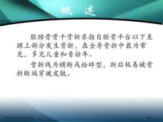 胫腓骨干骨折的护理专家讲座