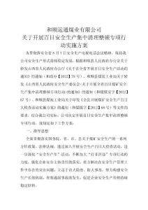 和順運(yùn)通煤業(yè)有限公司百日安全生產(chǎn)集中清理整頓專項(xiàng)行動(dòng)方案