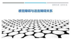 感觉障碍与语言障碍关系