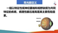 青光眼—青光眼概述【8页】