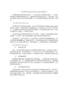 马铃薯黑痣病的出现与防治和治疗